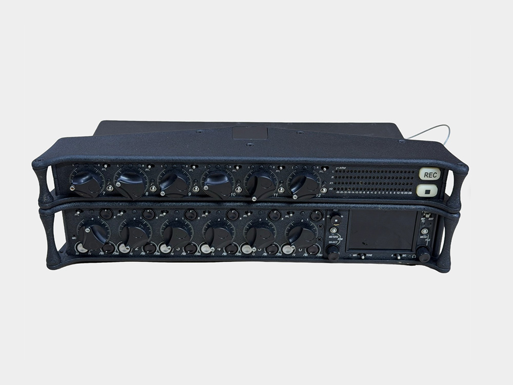 Professional field audio recorder with microphones